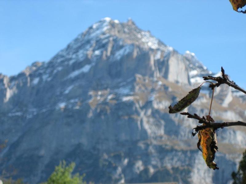 Hotel Gletschertal Grindelwald Dış mekan fotoğraf